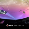 日本SVG 全車轉色PPF